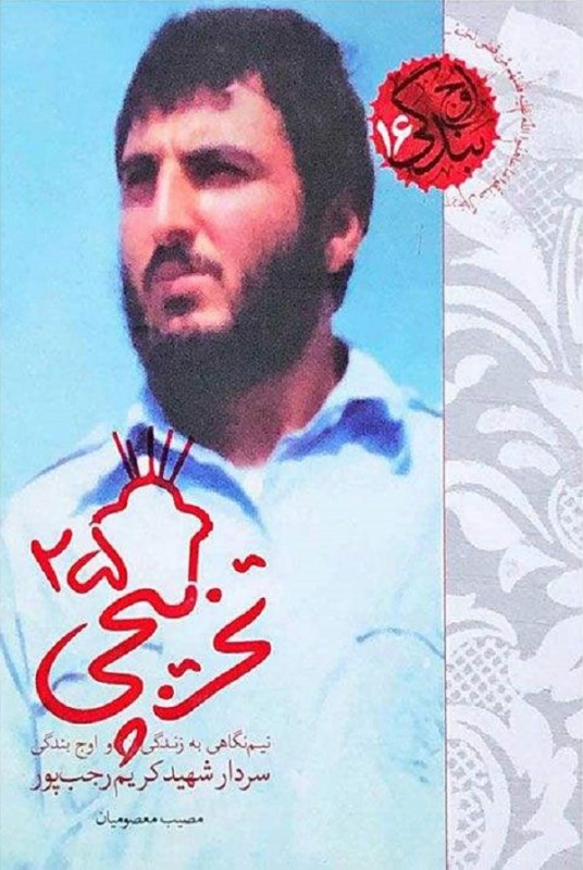 تخریبپی ۲۵