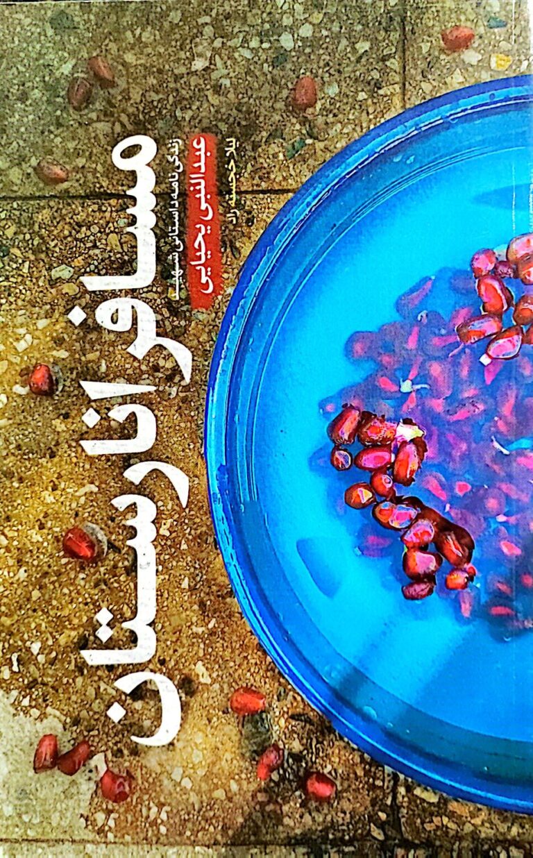 مسافر انارستان