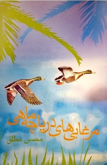 م‍رغ‍اب‍ی‌‌ ه‍ای‌ دری‍اچ‍ه‌ م‍اه‍ی‌